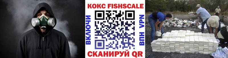Cocaine FishScale  дарнет шоп  Пионерский 